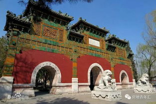 沖起來 年輕的小伙伴們,房地的榮譽讓我們來守護(hù)